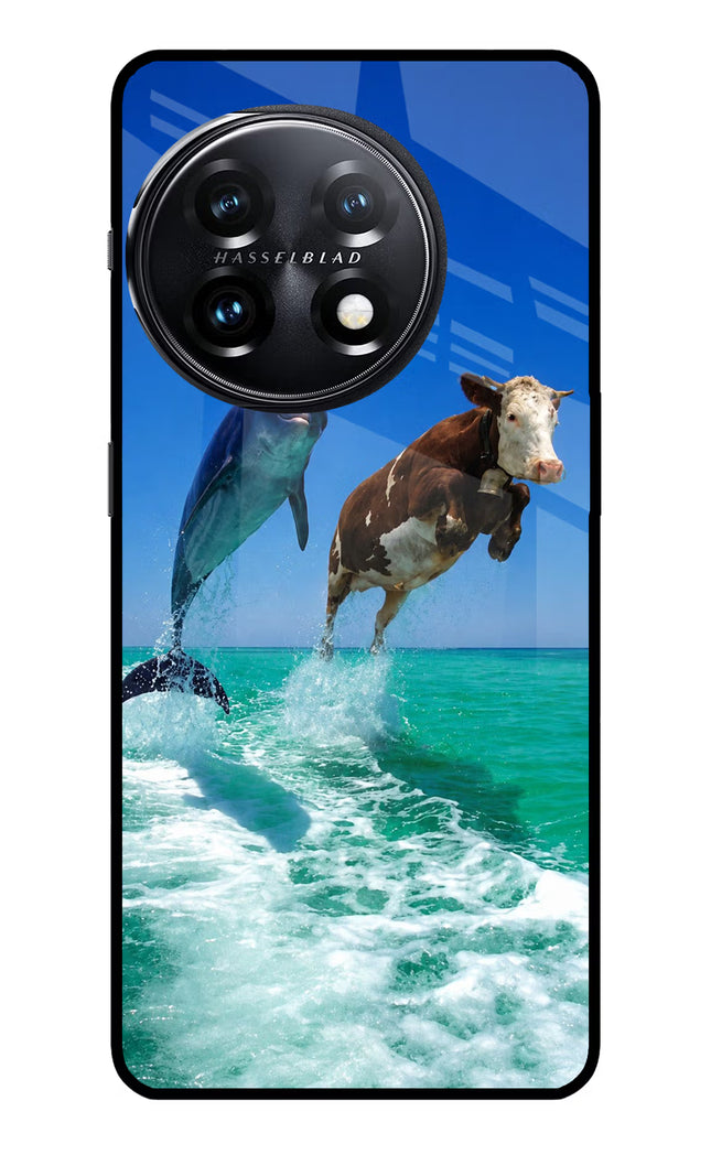 Dolphin vs Cow OnePlus 11 5G Glass Case