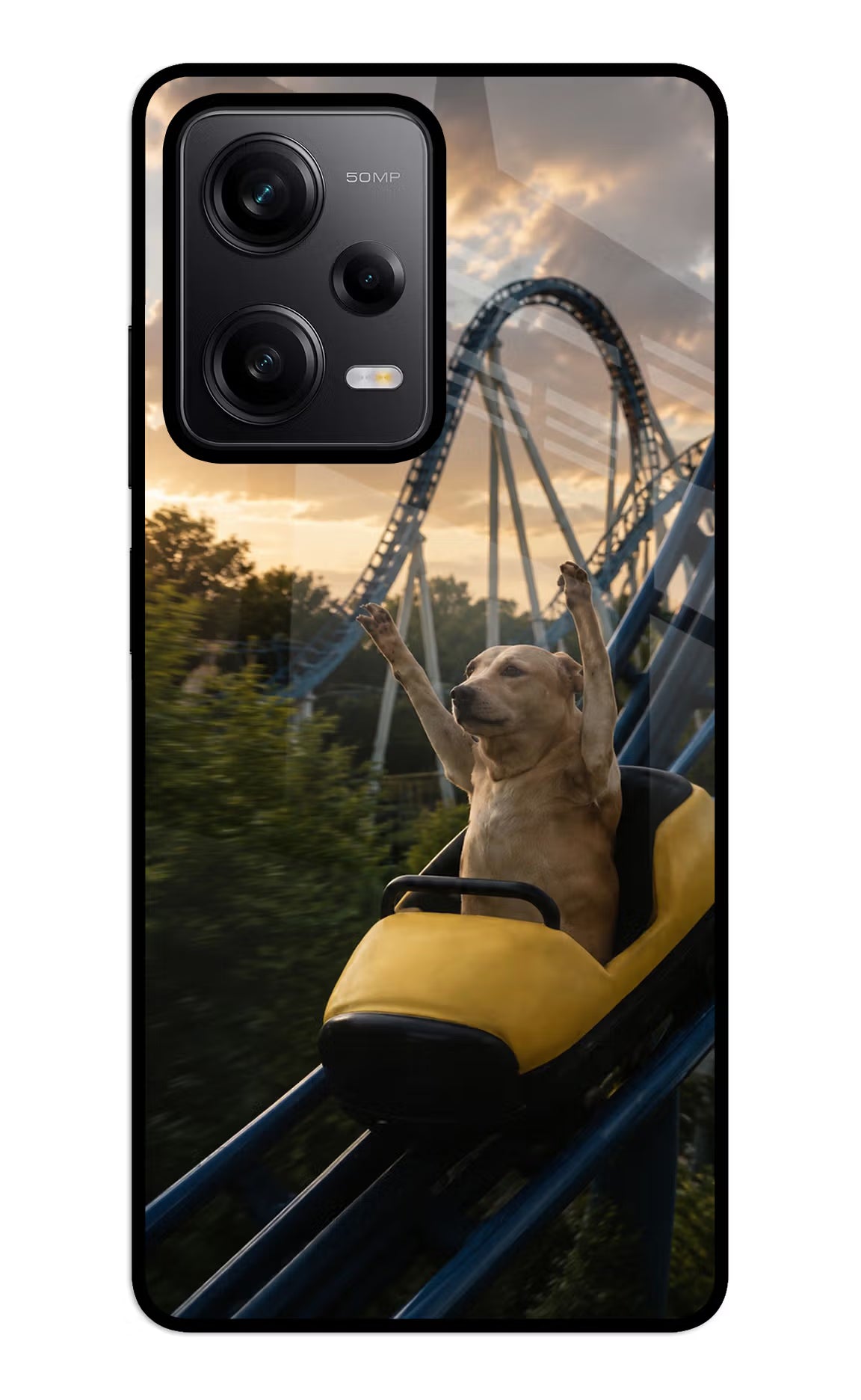 Rollercoaster Dog Redmi Note 12 5G Glass Case