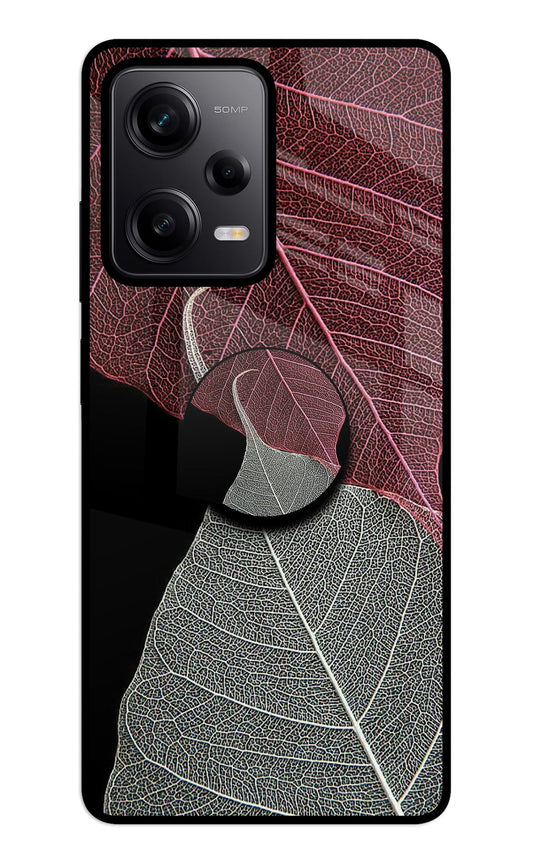Leaf Pattern Redmi Note 12 5G Glass Case