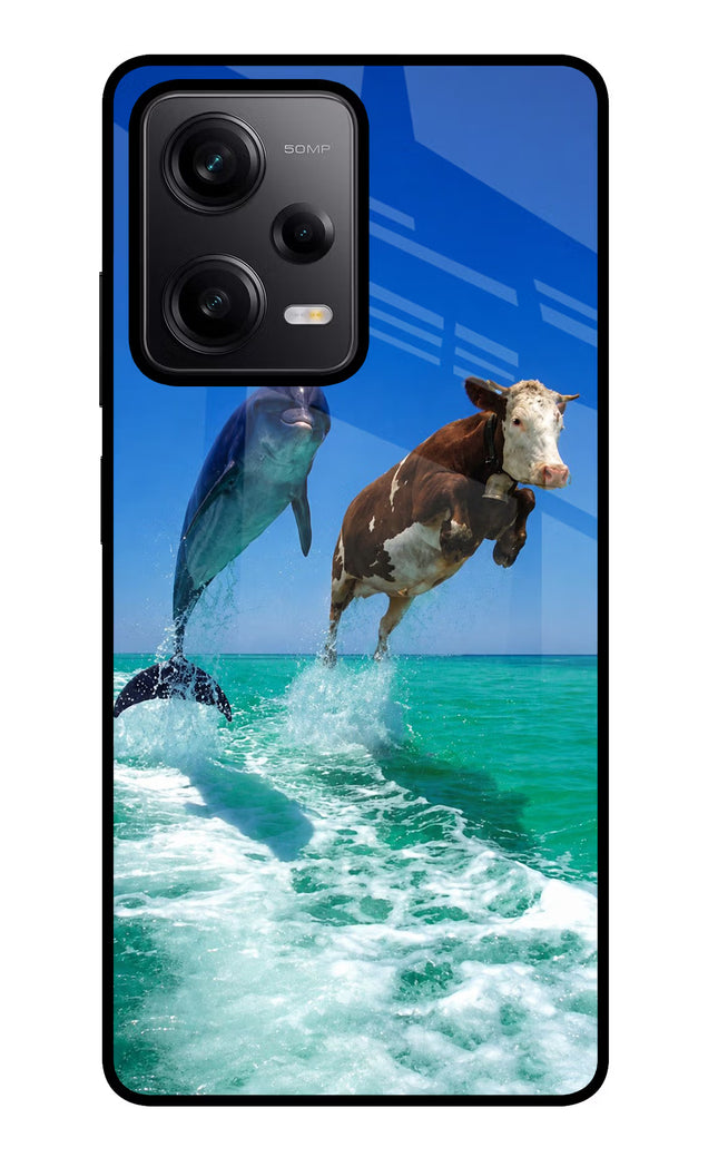 Dolphin vs Cow Redmi Note 12 Pro 5G Glass Case