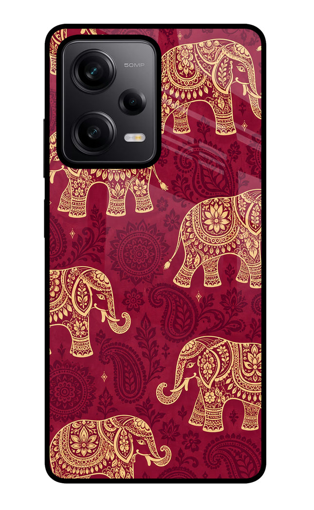 Maroon Elephant Redmi Note 12 Pro 5G Glass Case