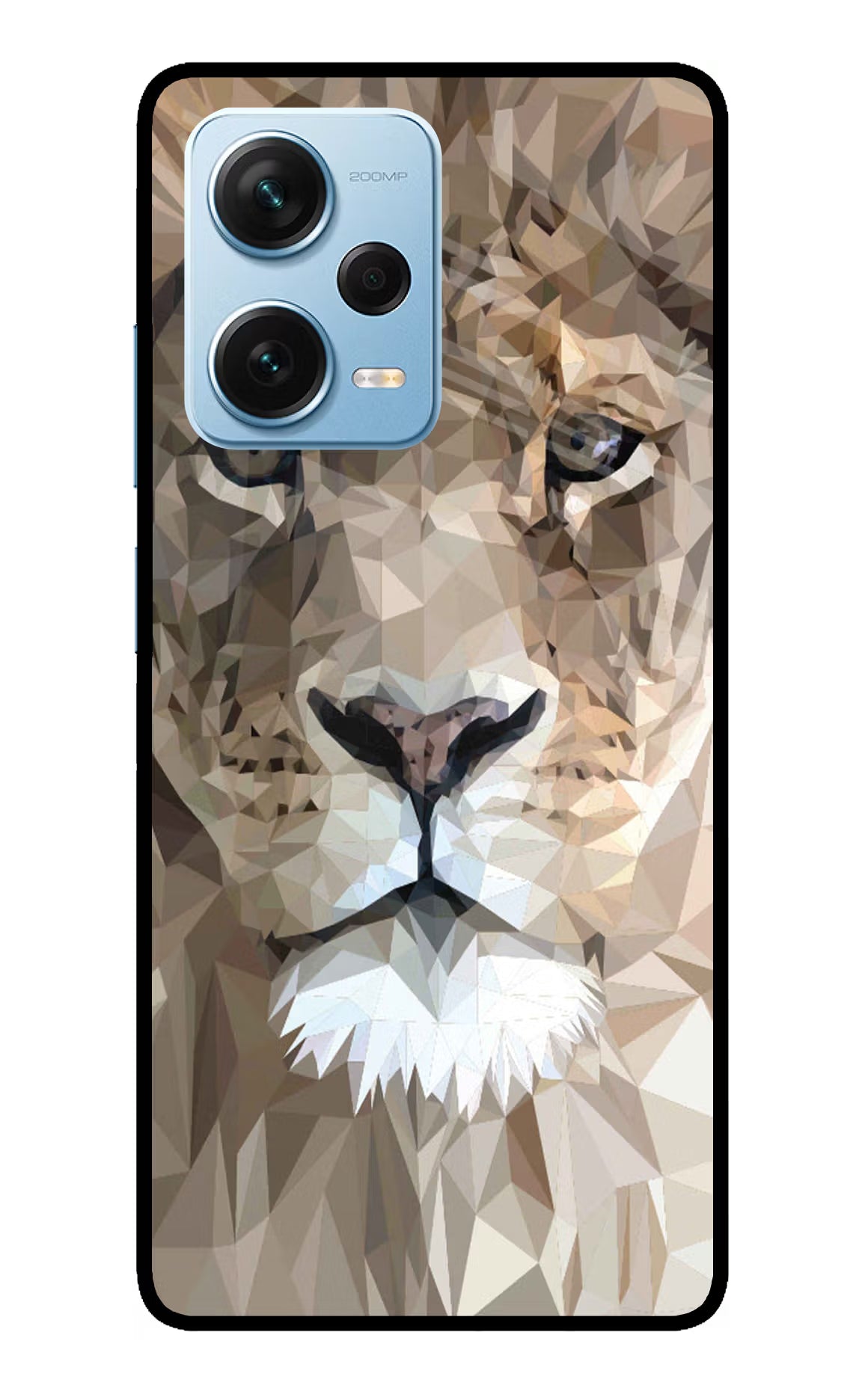 Lion Art Redmi Note 12 Pro+ 5G Glass Case Back Cover by Casekaro