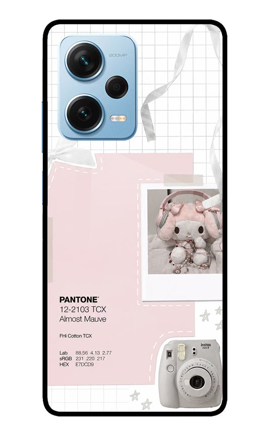 Pantone Asthetic Redmi Note 12 Pro+ 5G Glass Case