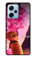 Always Cat Redmi Note 12 Pro+ 5G Glass Case