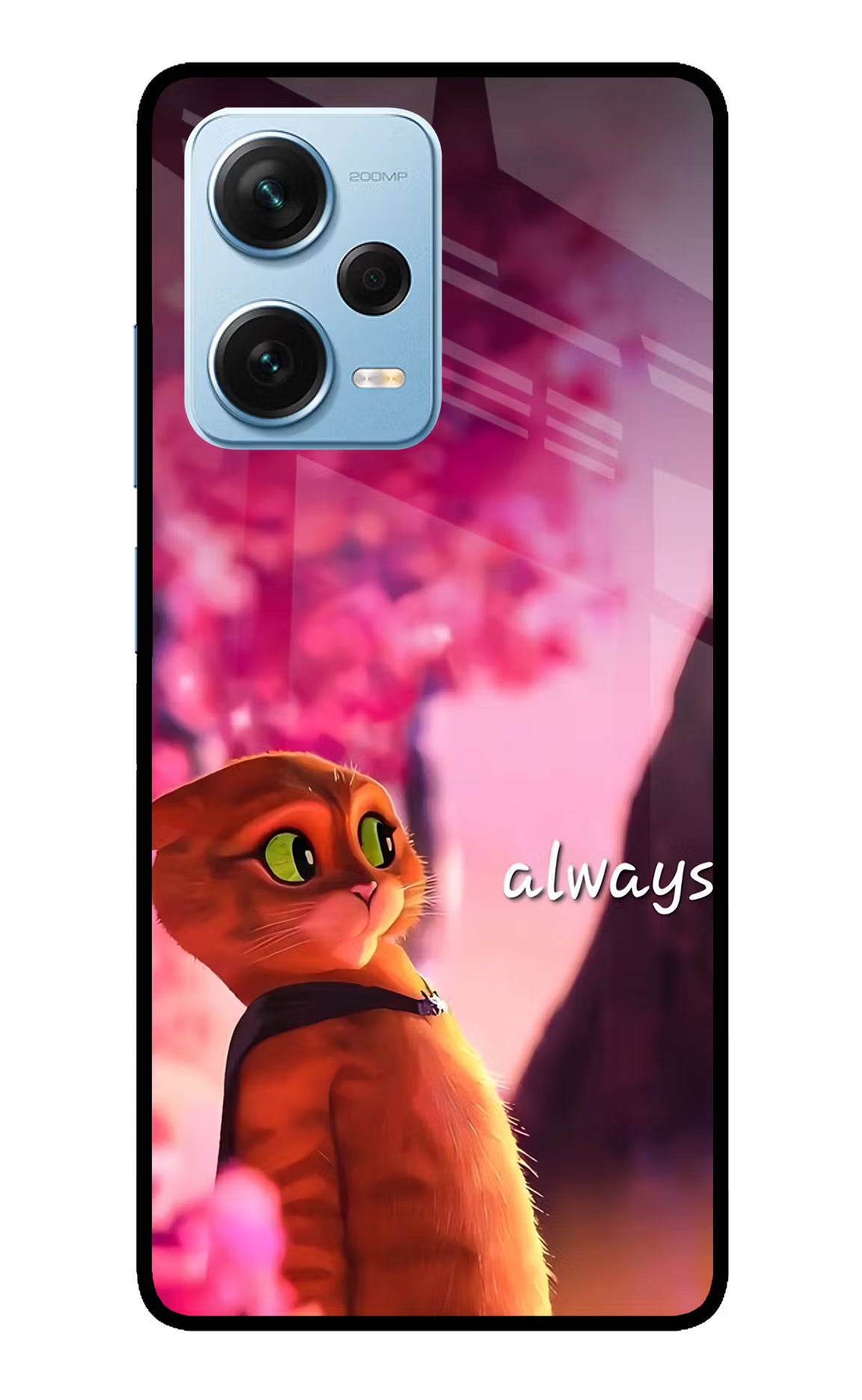 Always Cat Redmi Note 12 Pro+ 5G Glass Case