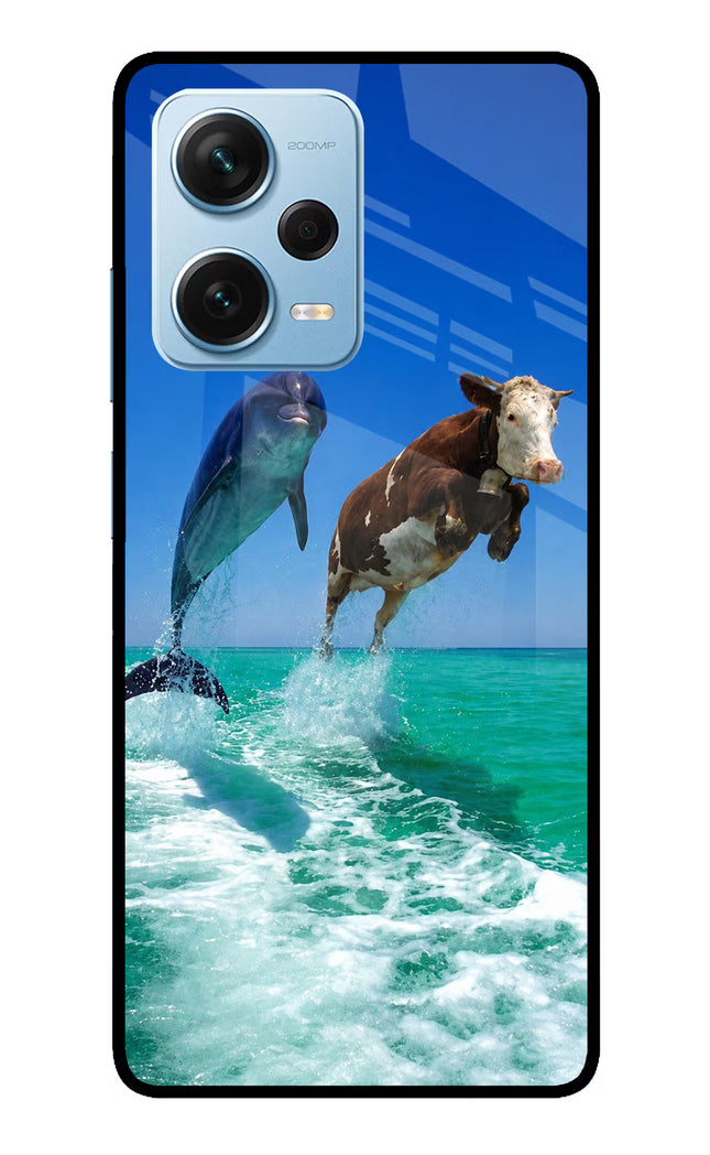 Dolphin vs Cow Redmi Note 12 Pro+ 5G Glass Case