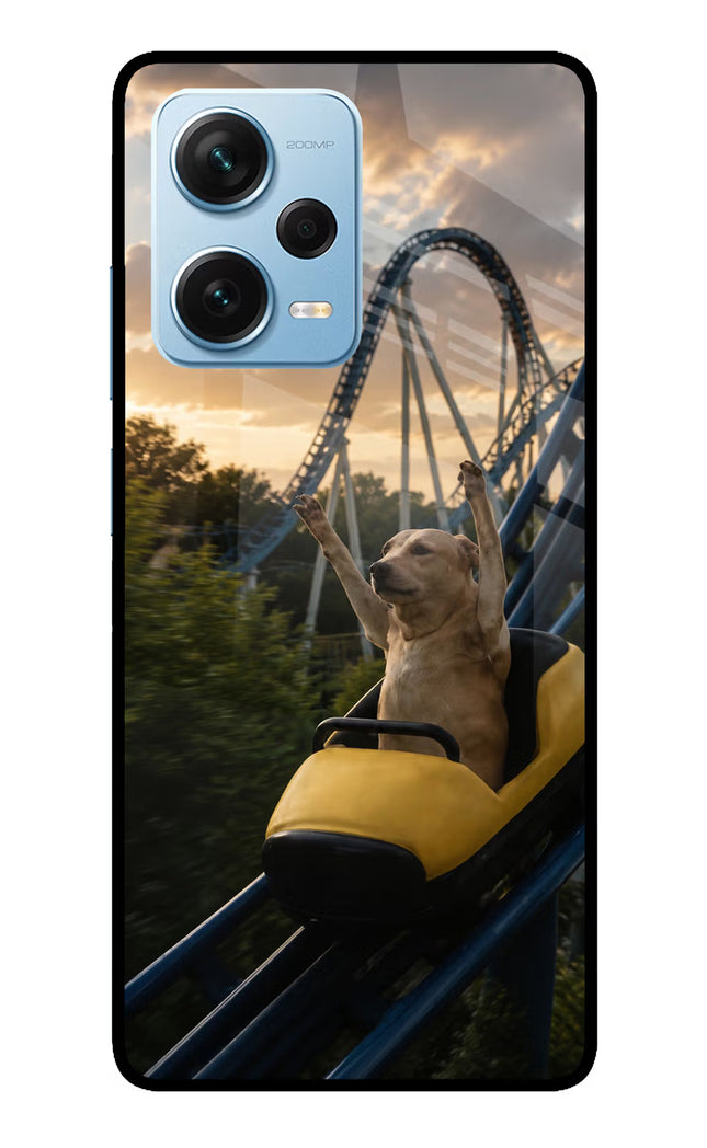Rollercoaster Dog Redmi Note 12 Pro+ 5G Glass Case