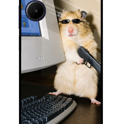Hacker Hamster Realme 10 Glass Case