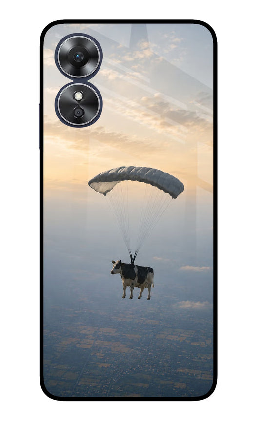 Skydiving Cow Oppo A17 Glass Case