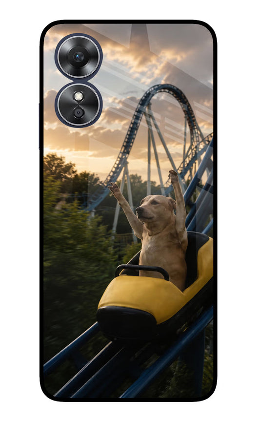 Rollercoaster Dog Oppo A17 Glass Case