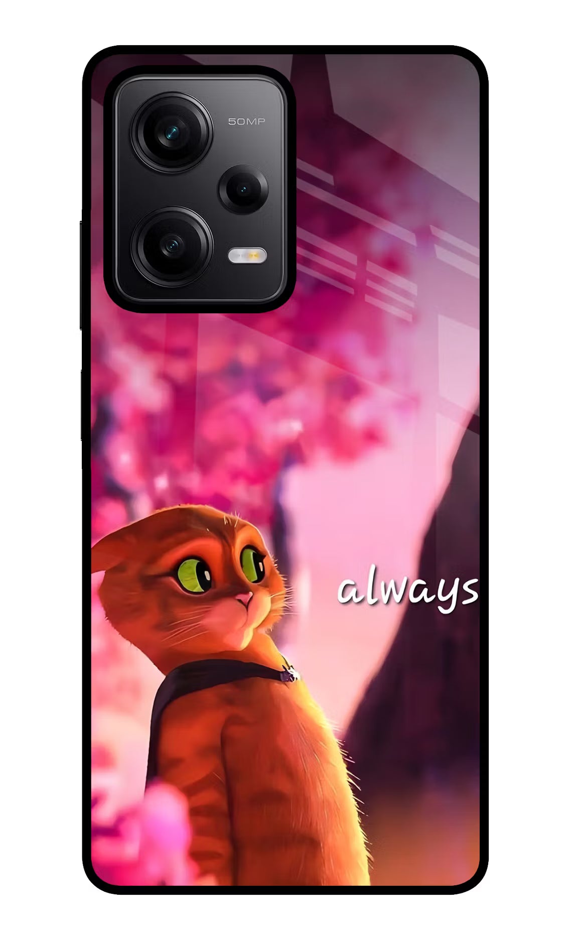 Always Cat Poco X5 5G Glass Case