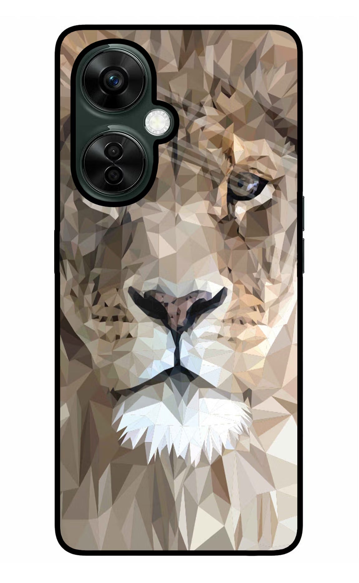 Lion Art OnePlus Nord CE 3 Lite 5G Glass Case Back Cover by Casekaro