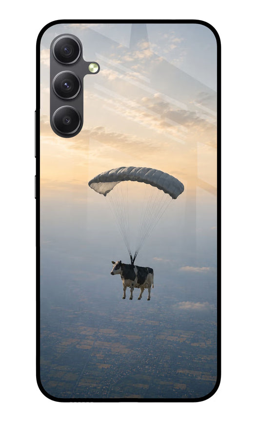 Skydiving Cow Samsung A34 5G Glass Case