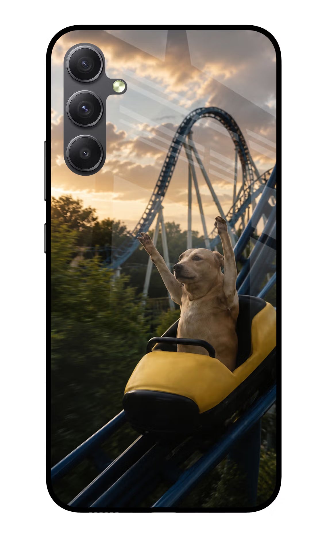 Rollercoaster Dog Samsung A34 5G Glass Case