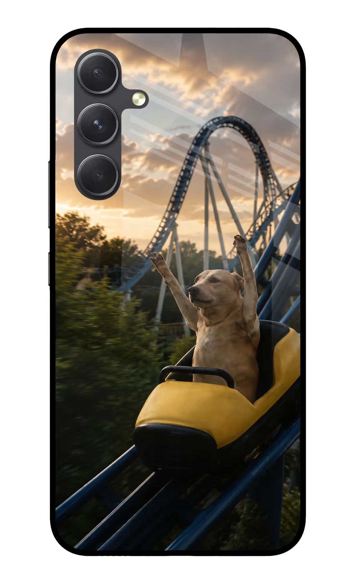 Rollercoaster Dog Samsung A54 5G Glass Case