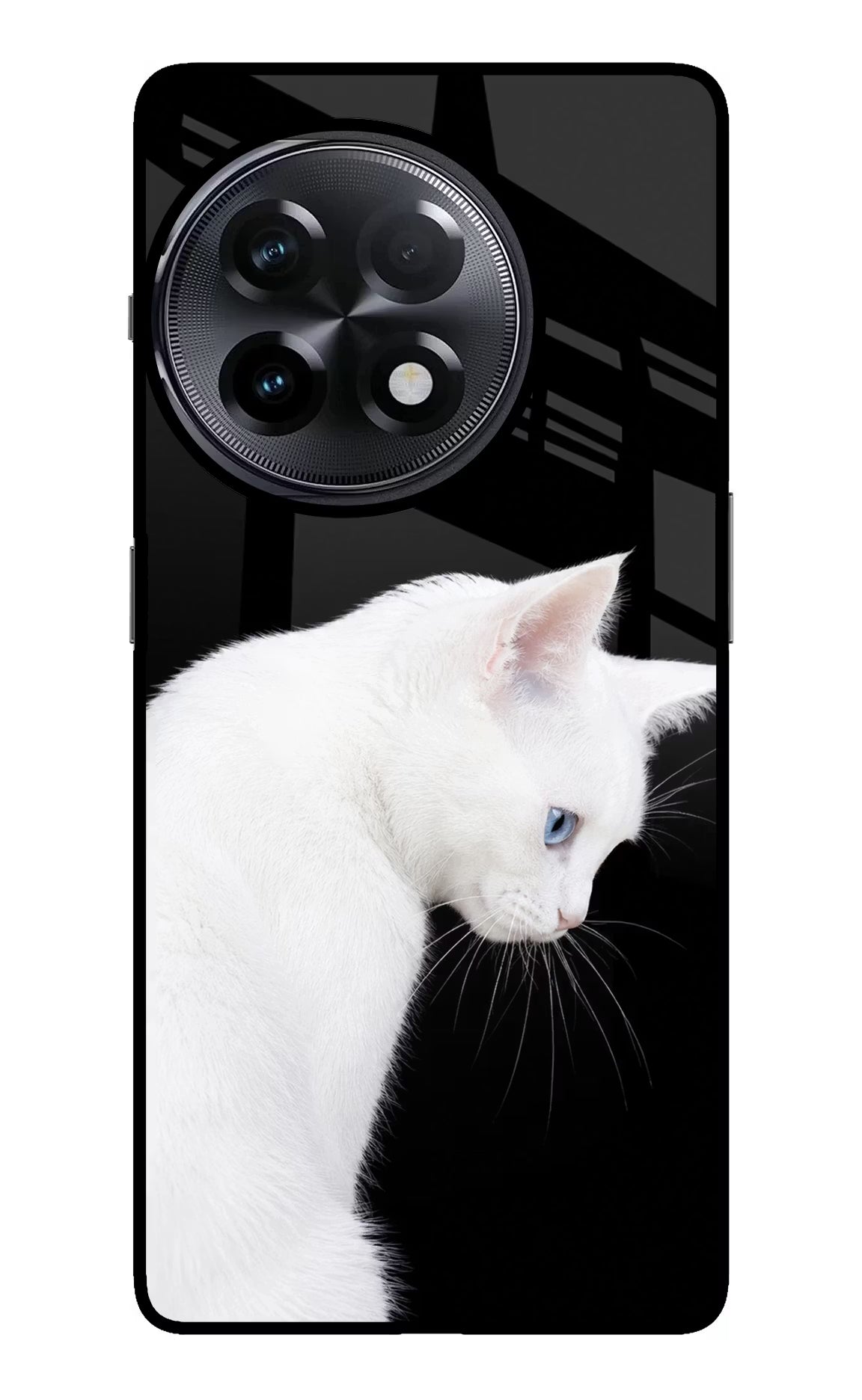Snow Gaze OnePlus 11R Glass Case