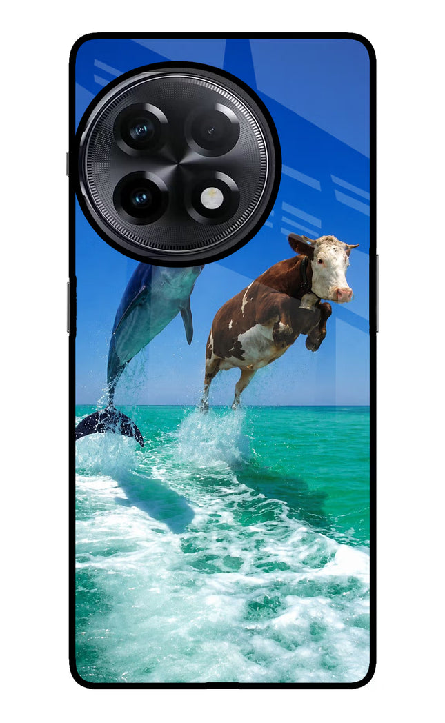 Dolphin vs Cow OnePlus 11R Glass Case