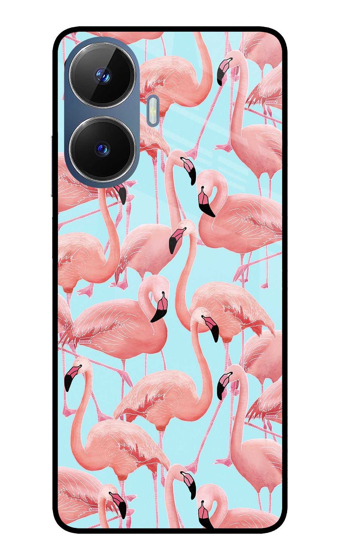 Flamboyance Realme C55/N55 Glass Case