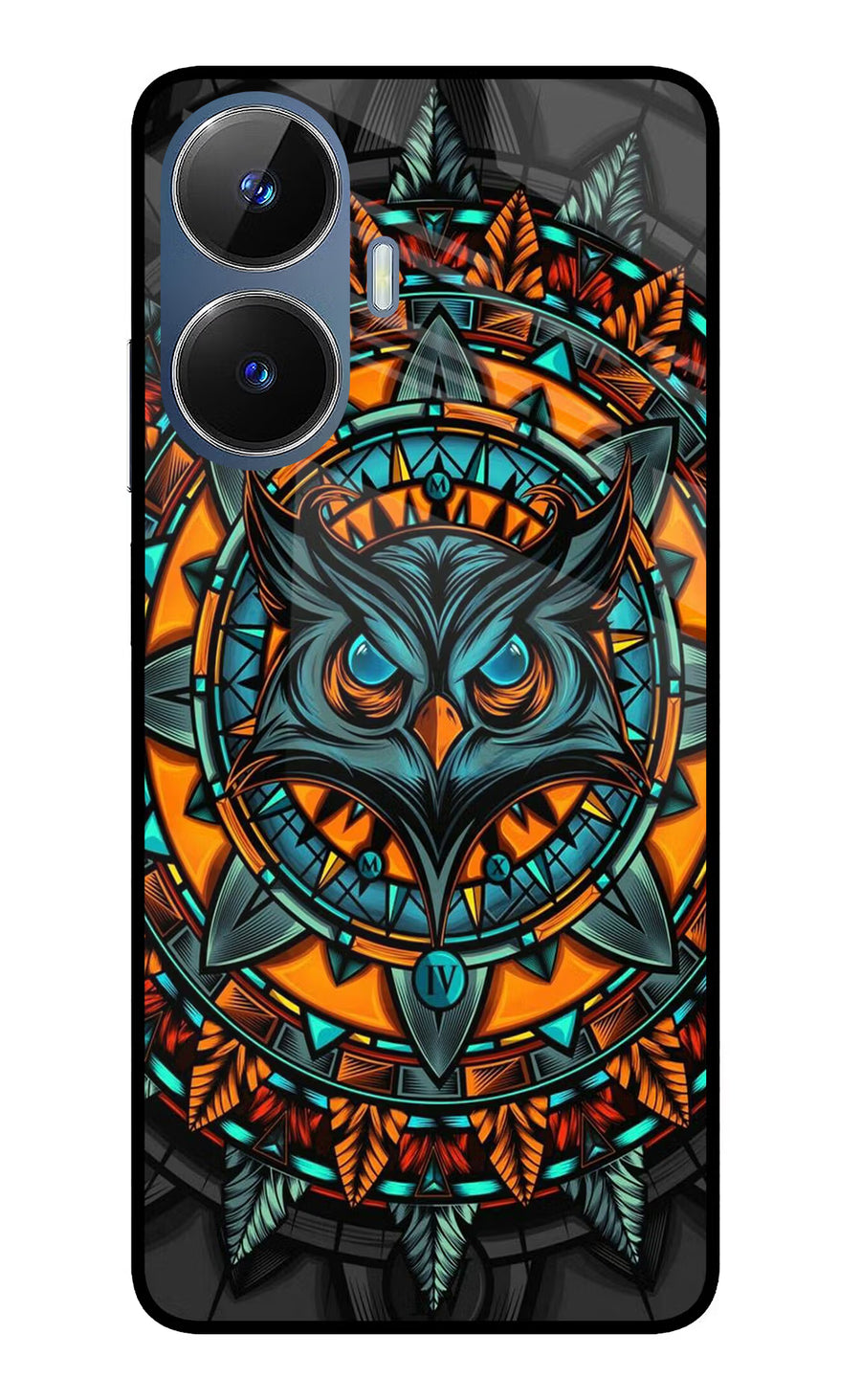 Angry Owl Art Realme C55/N55 Back Cover, Glass case