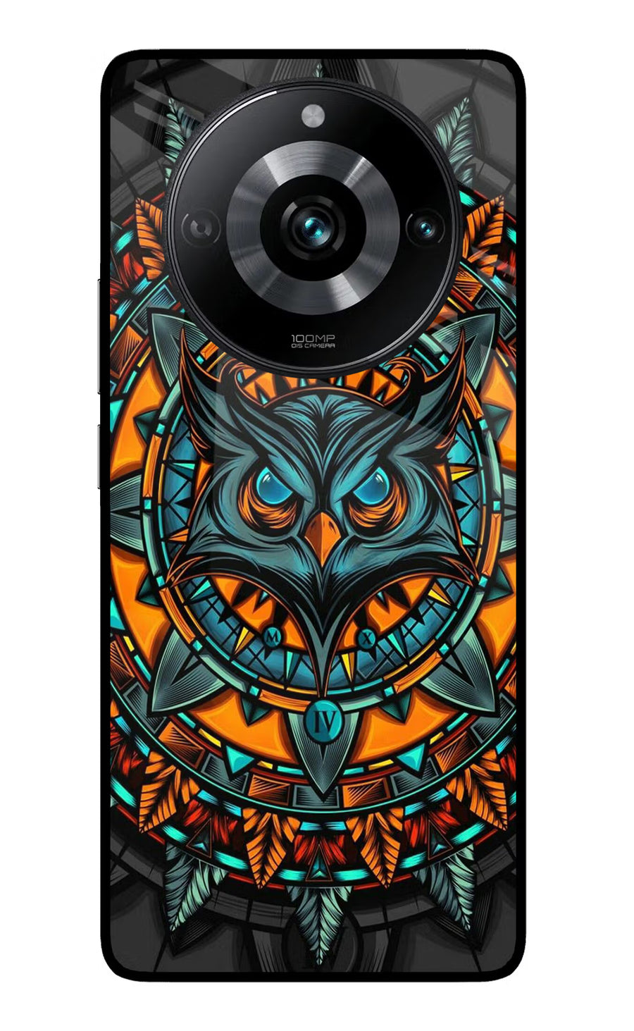 Angry Owl Art Realme 11 Pro/Pro+ 5G Back Cover, Glass case