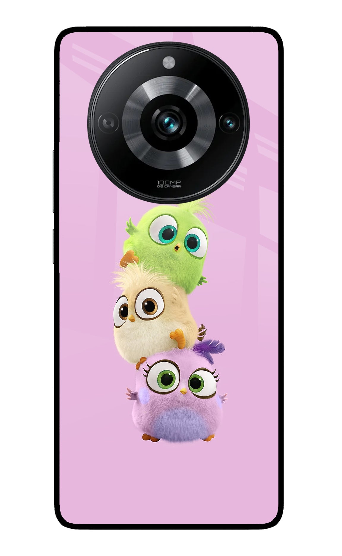 Cute Little Birds Realme 11 Pro/Pro+ 5G Back Cover