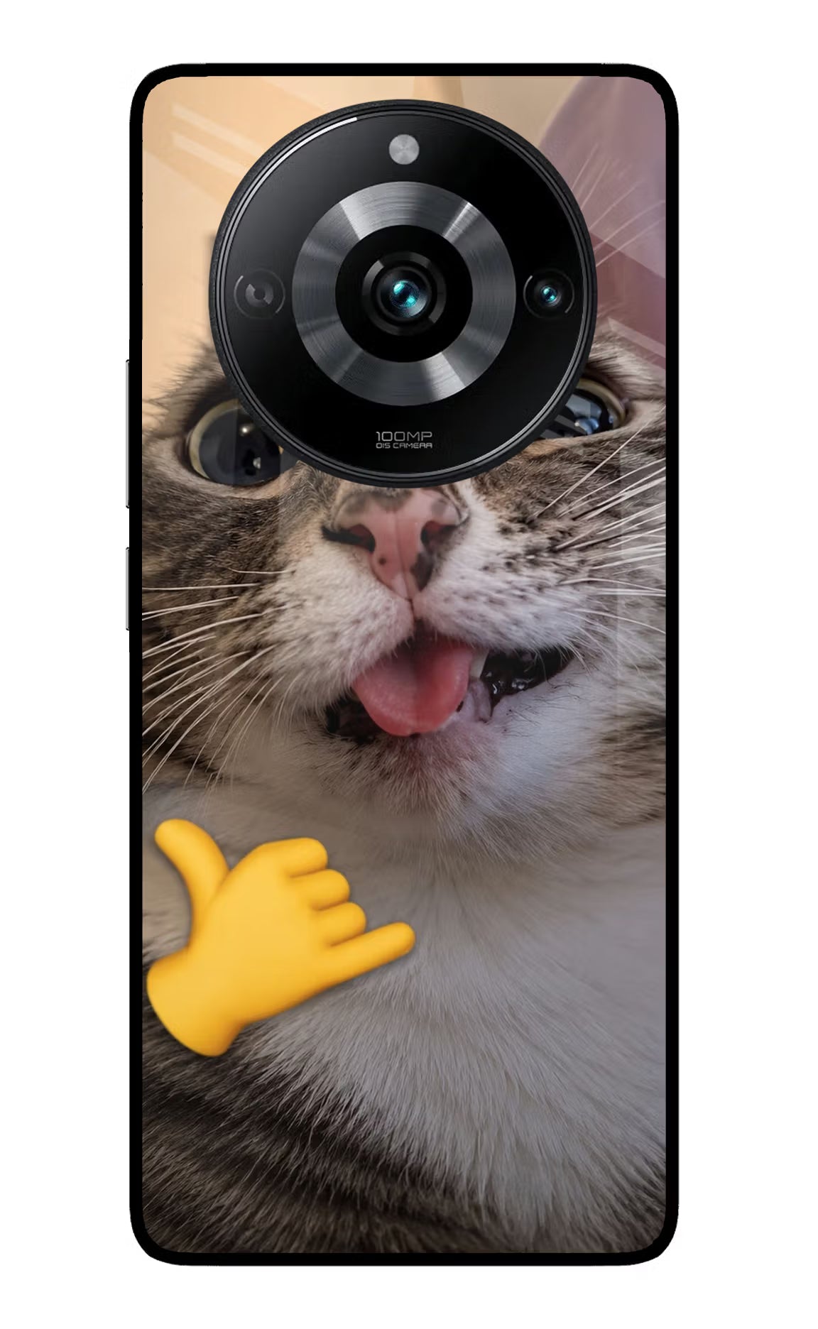 Silly Cat Call Realme 11 Pro/Pro+ 5G Glass Case