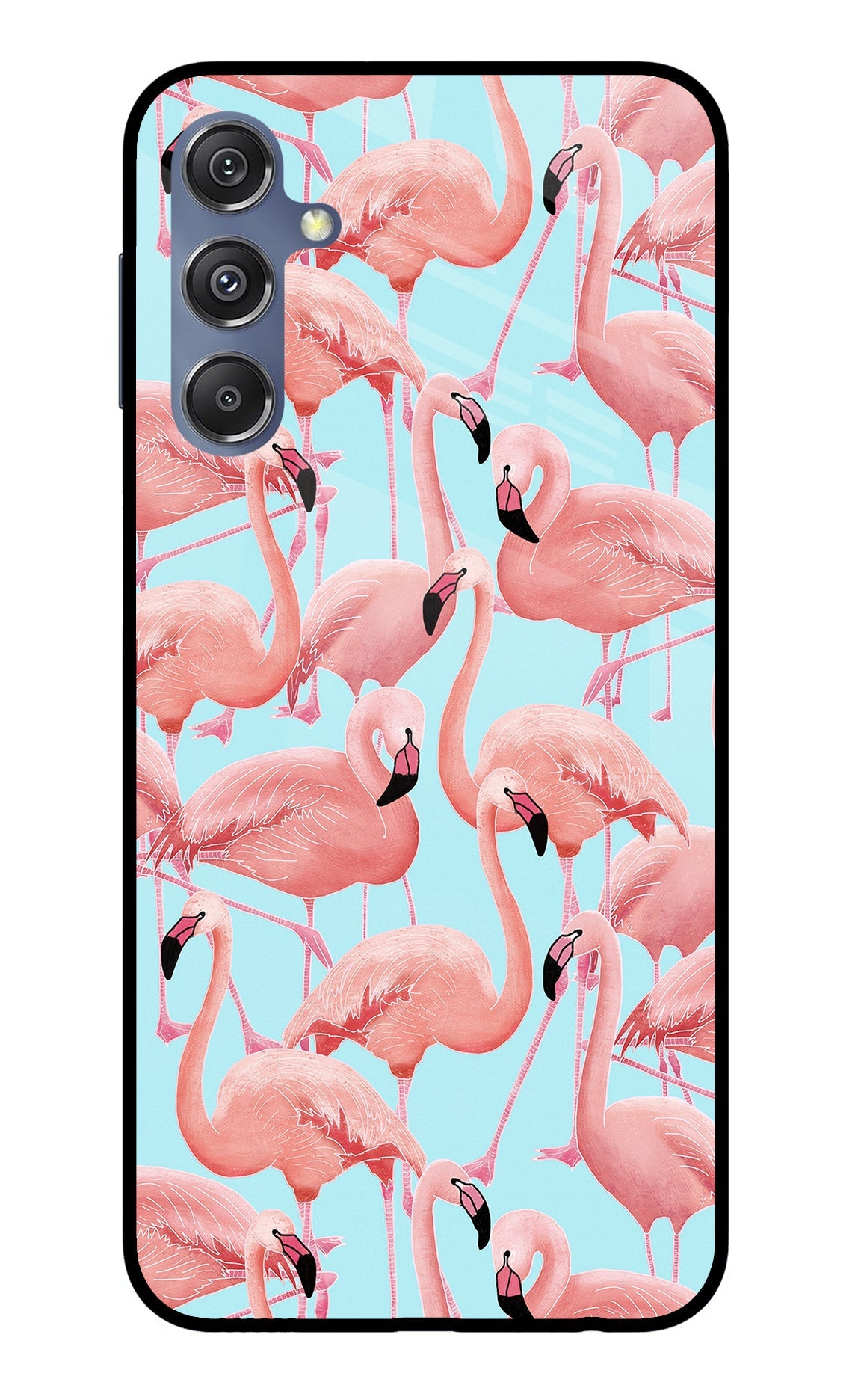 Flamboyance Samsung M34 5G/F34 5G Glass Case