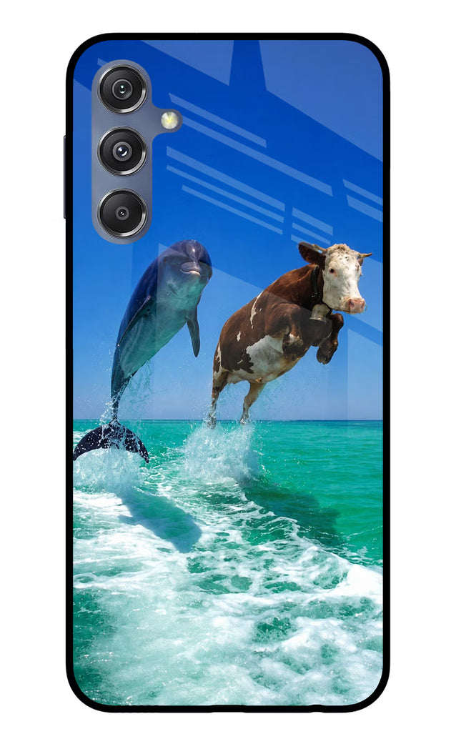 Dolphin vs Cow Samsung M34 5G/F34 5G Glass Case