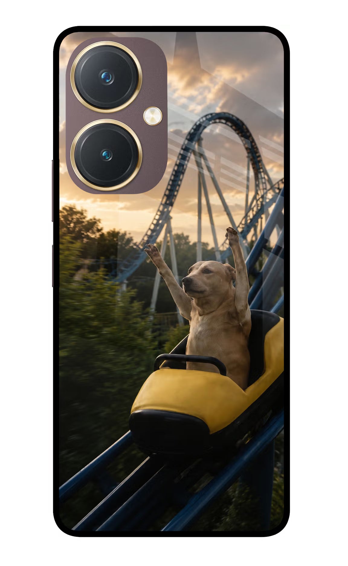 Rollercoaster Dog Vivo Y27 Glass Case
