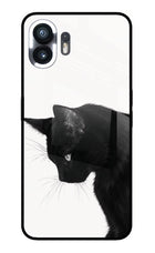 Shadow Gaze Nothing Phone 2 Glass Case