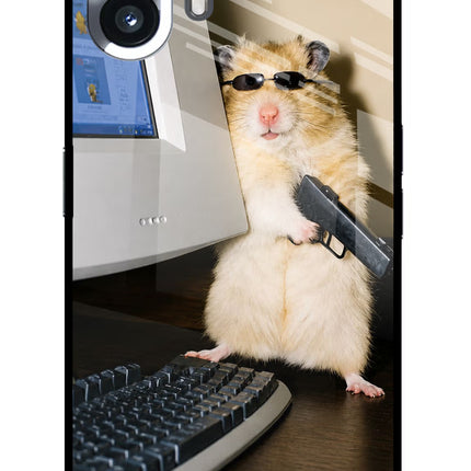 Hacker Hamster Nothing Phone 2 Glass Case