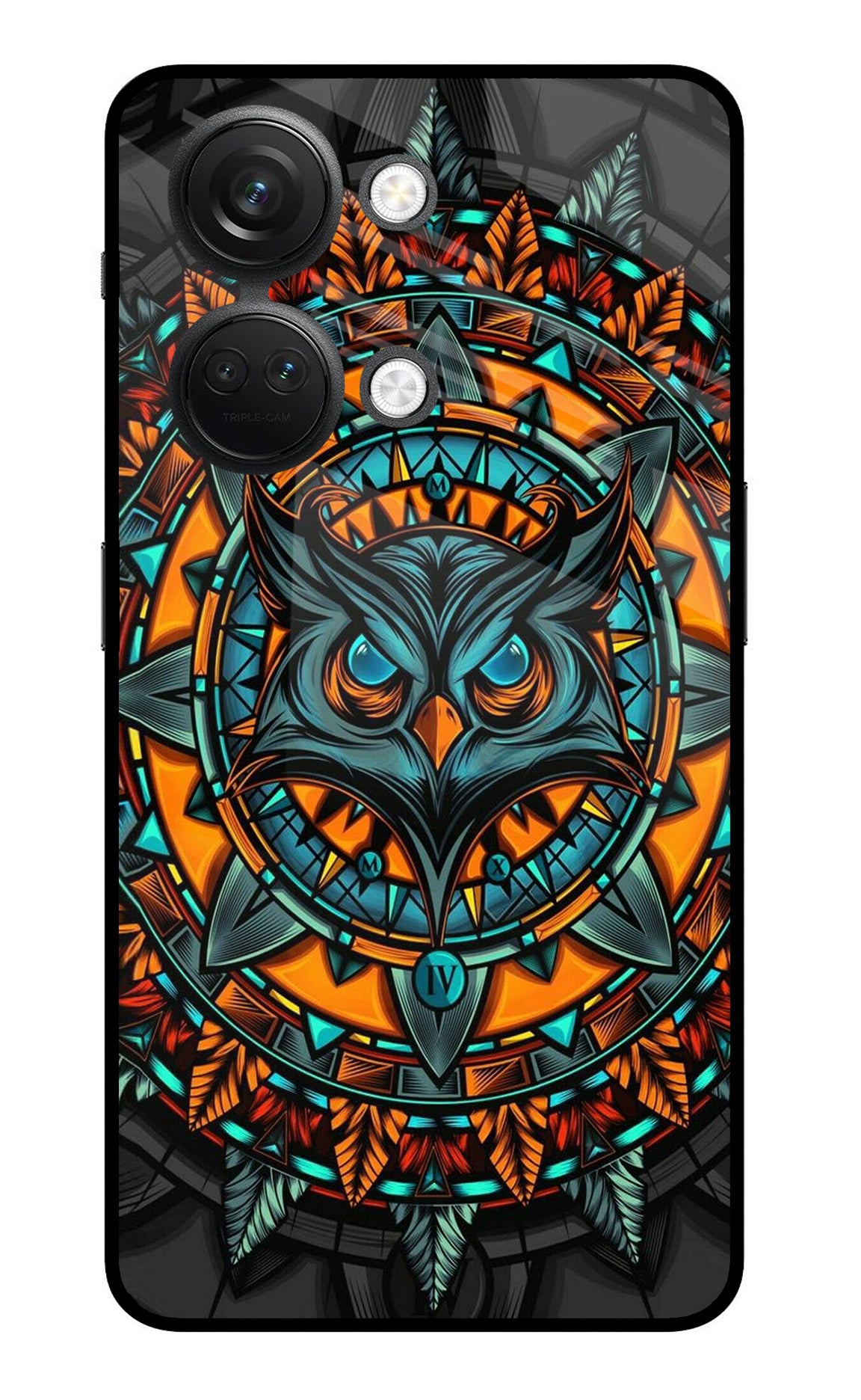 Angry Owl Art OnePlus Nord 3 5G Glass Case