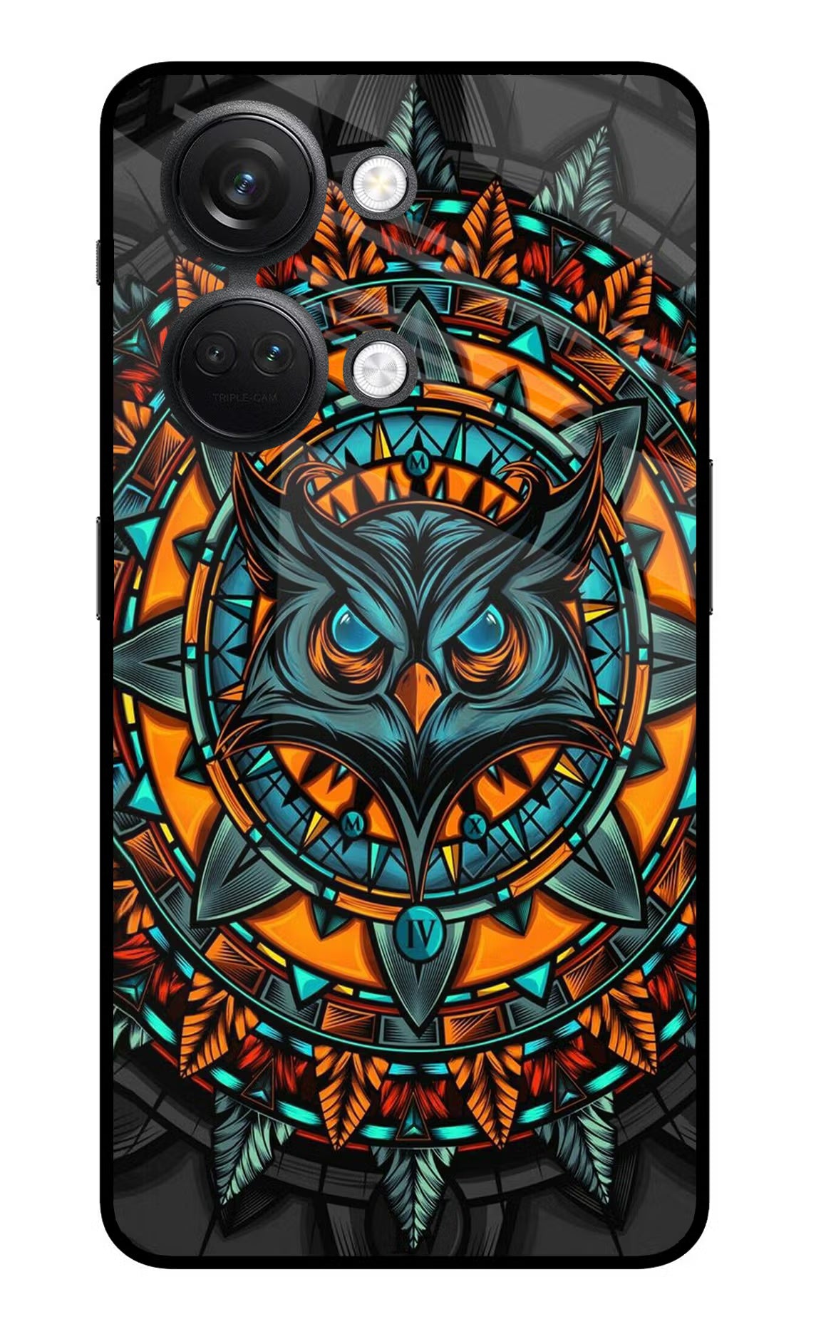 Angry Owl Art OnePlus Nord 3 5G Glass Case Back Cover by Casekaro