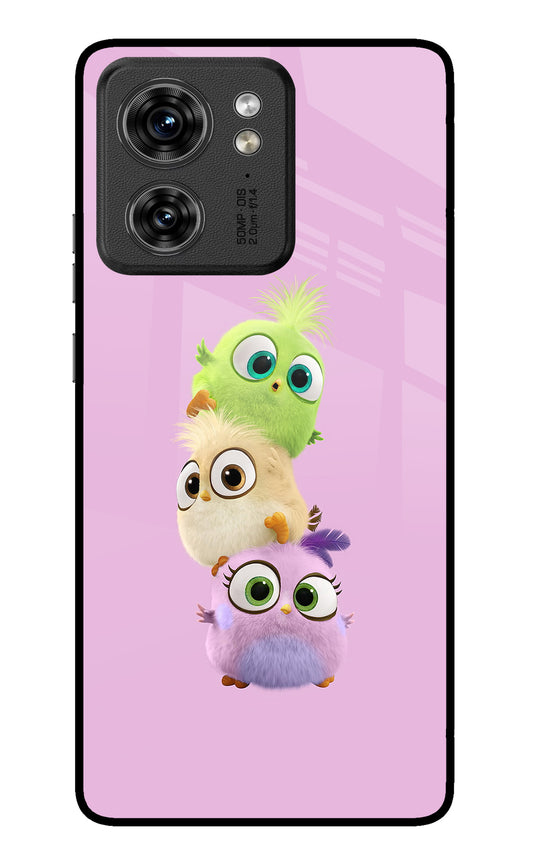 Cute Little Birds Moto Edge 40 Glass Case