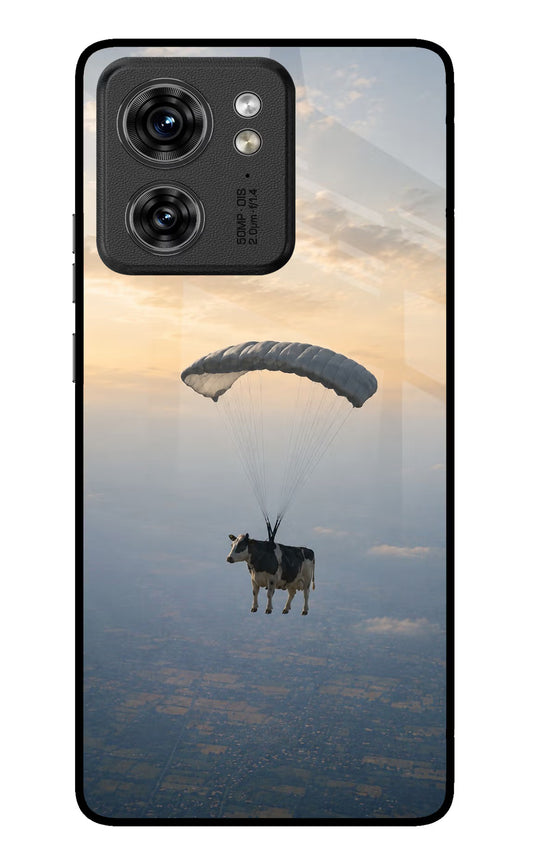 Skydiving Cow Moto Edge 40 Glass Case