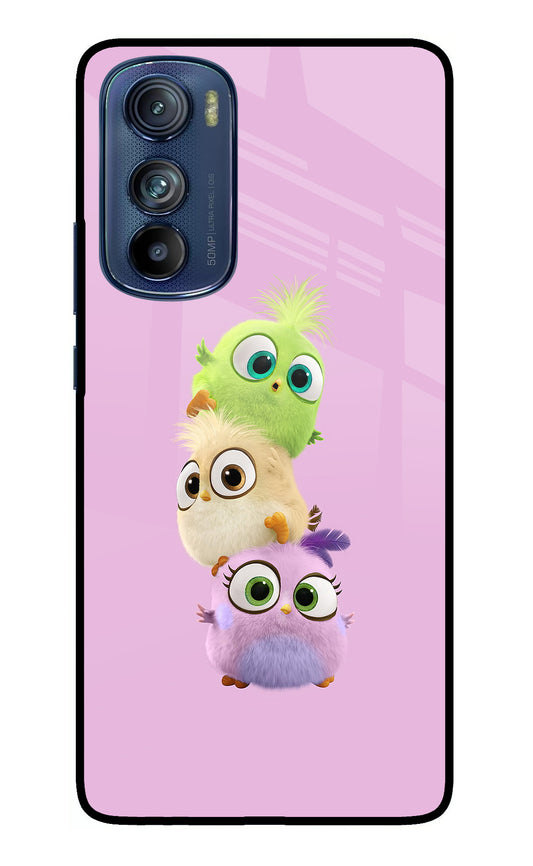 Cute Little Birds Moto Edge 30 Glass Case