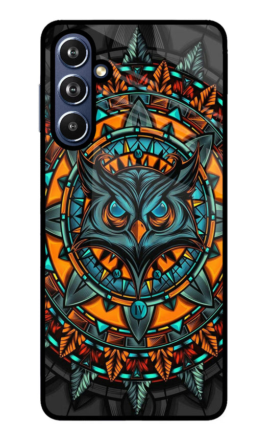 Angry Owl Art Samsung F54 5G Glass Case