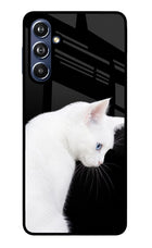 Snow Gaze Samsung F54 5G Glass Case