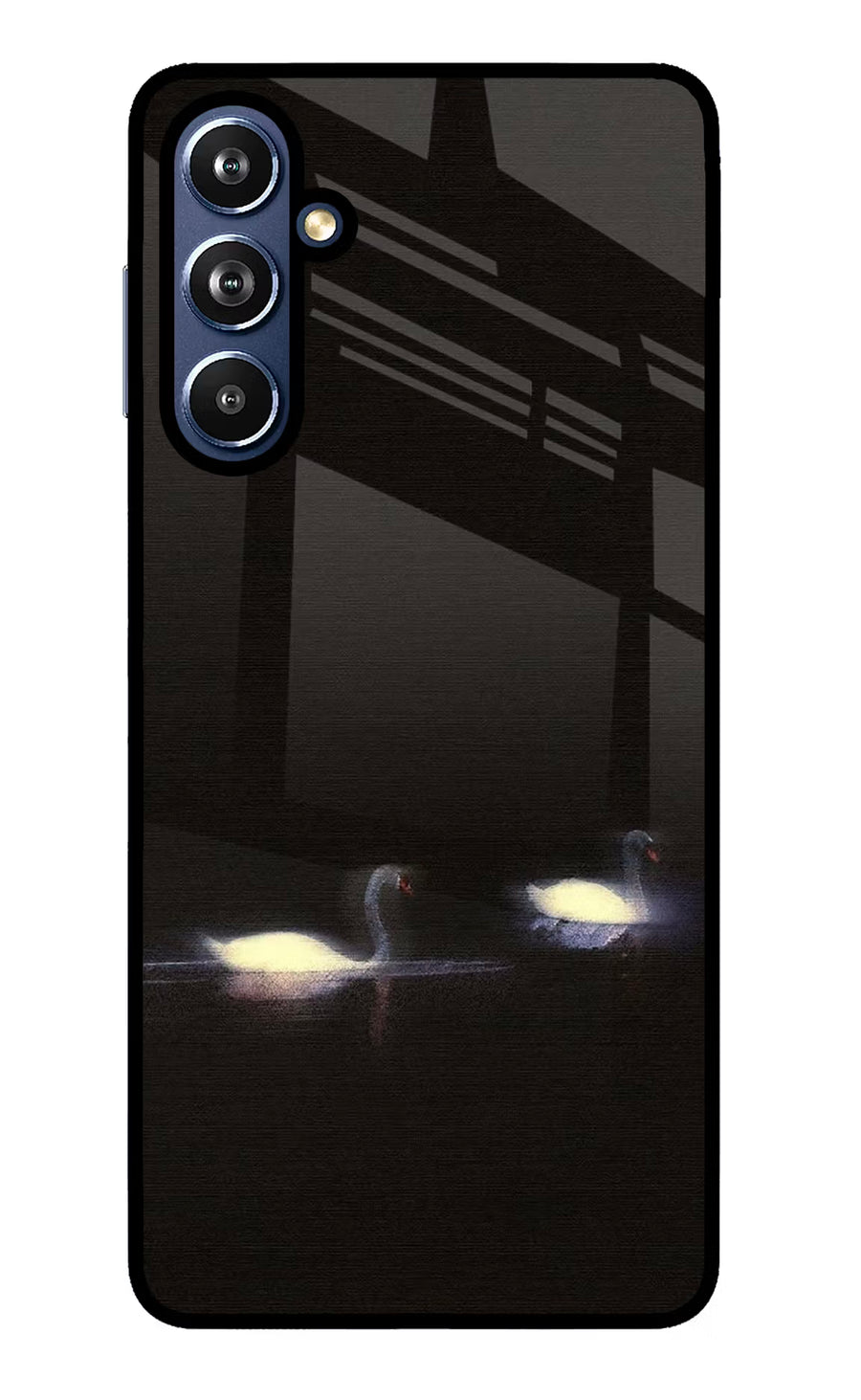Silent Swans Samsung F54 5G Back Cover, Glass case