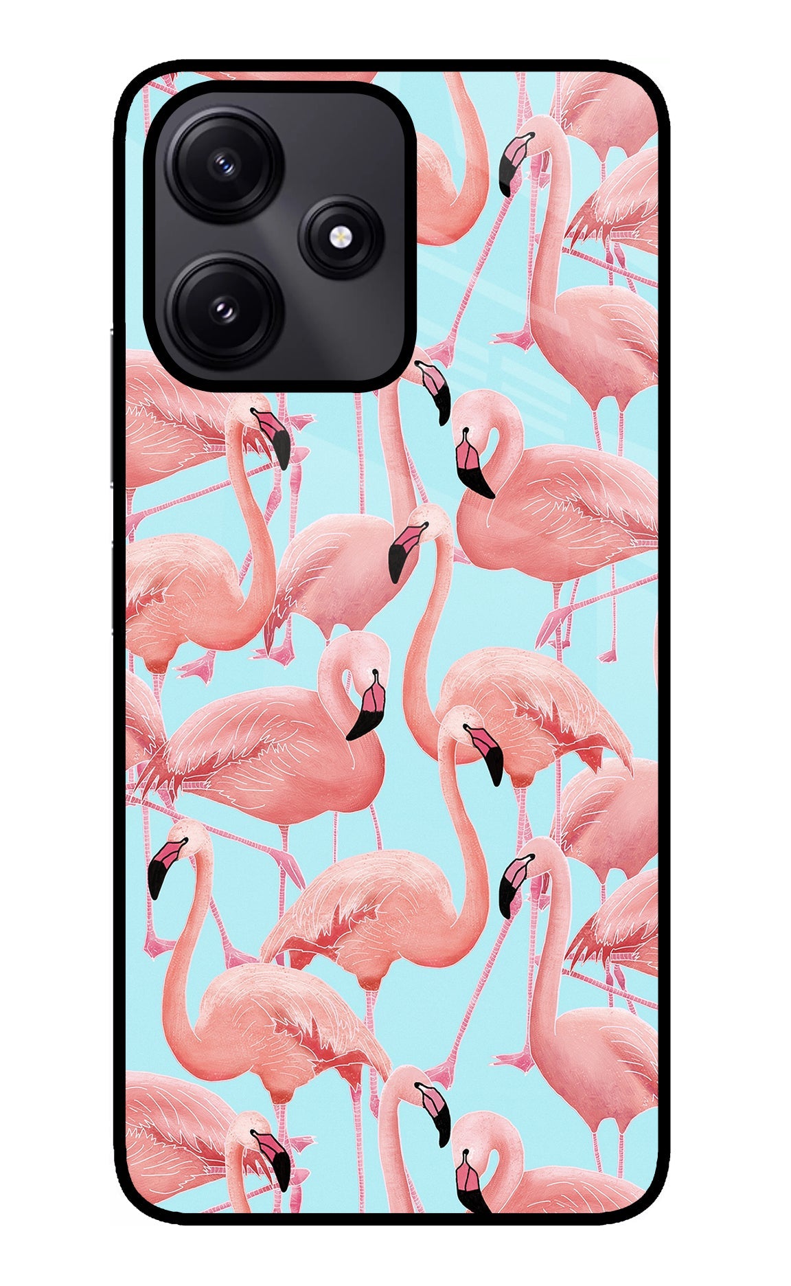 Flamboyance Poco M6 Pro 5G Back Cover