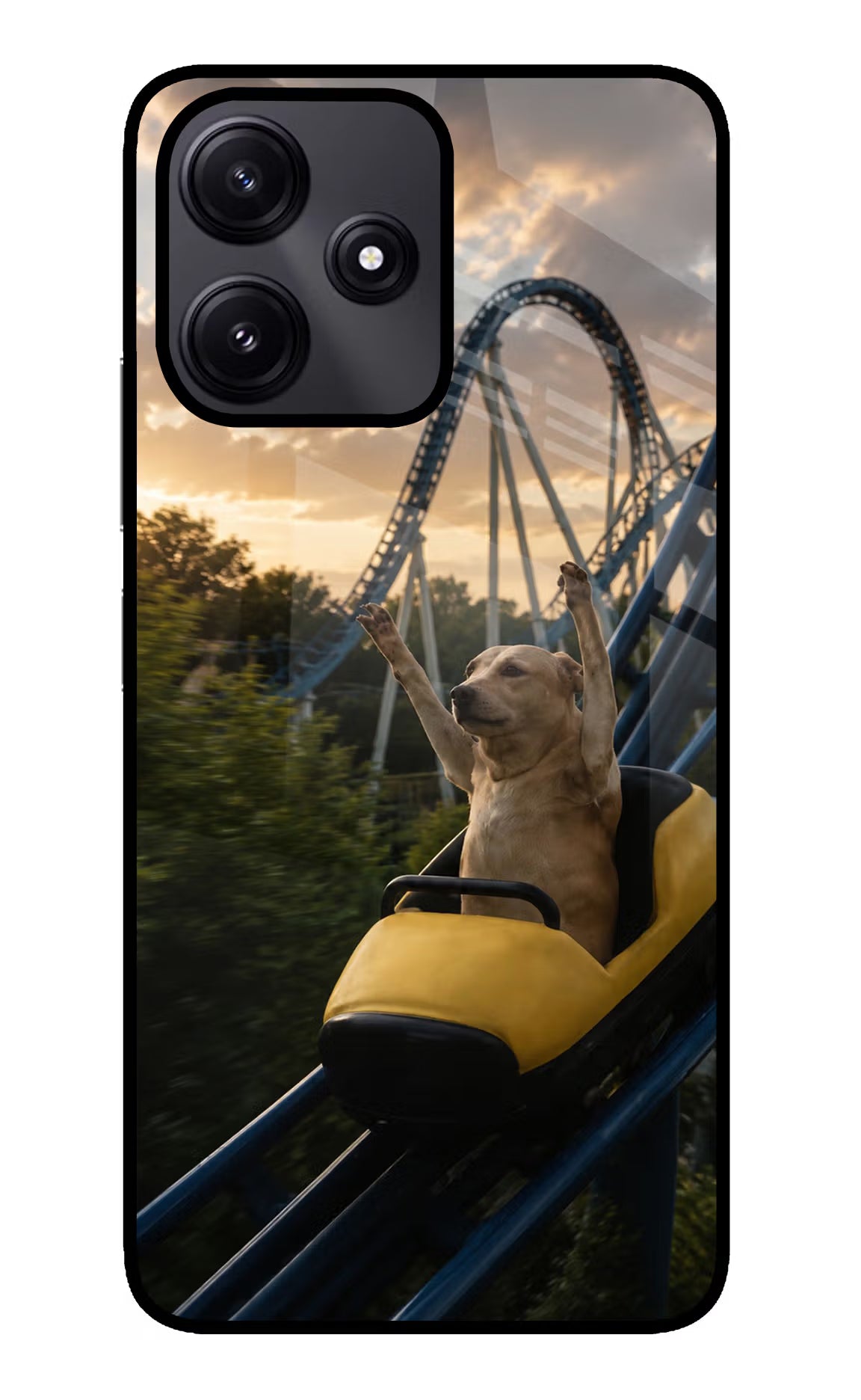 Rollercoaster Dog Poco M6 Pro 5G Glass Case