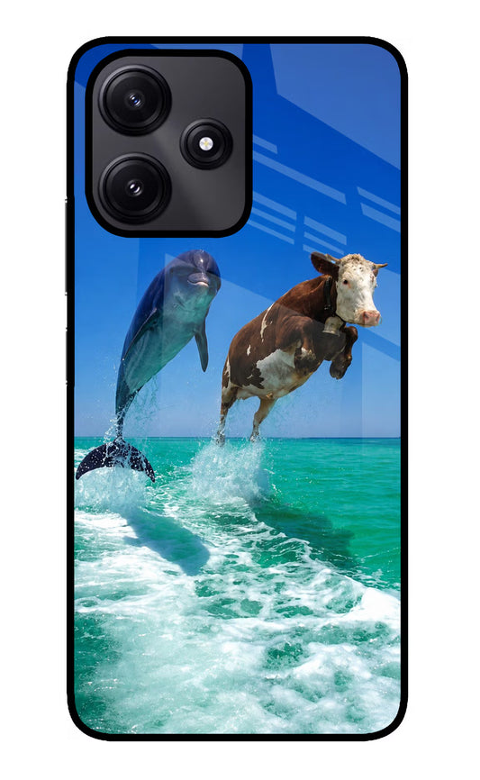 Dolphin vs Cow Redmi 12 5G Glass Case
