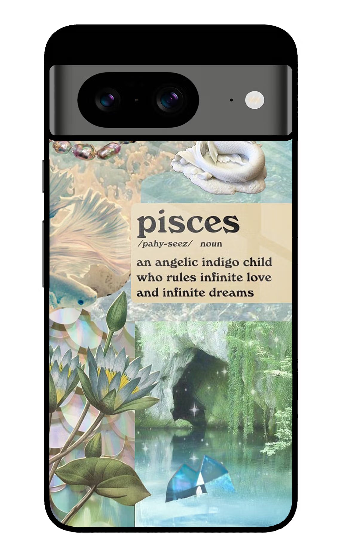 Pisces Zodiac Google Pixel 8 Glass Case