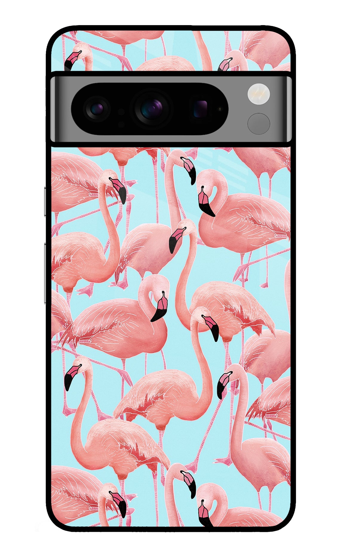 Flamboyance Google Pixel 8 Pro Back Cover