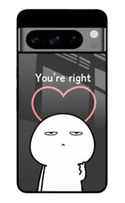 You're Right Google Pixel 8 Pro Glass Case
