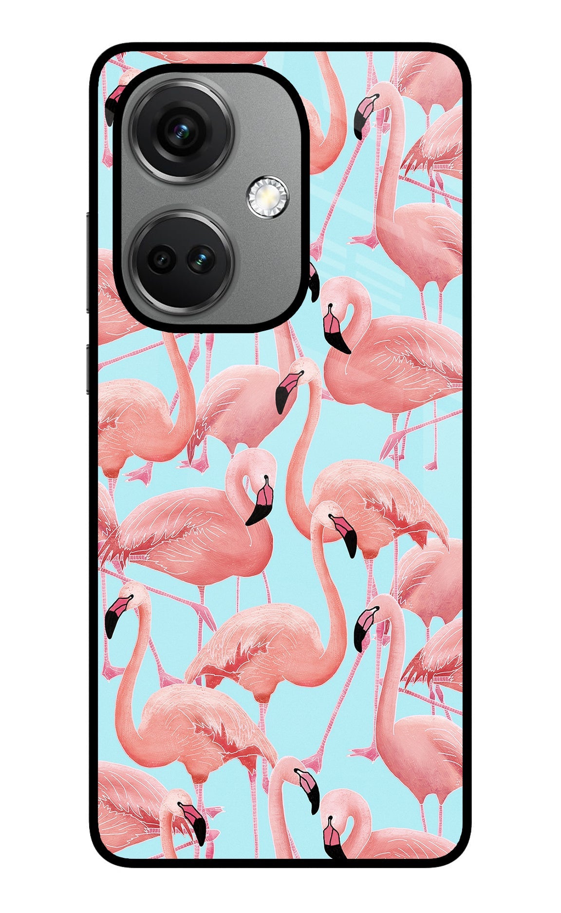 Flamboyance OnePlus Nord CE 3 5G Back Cover