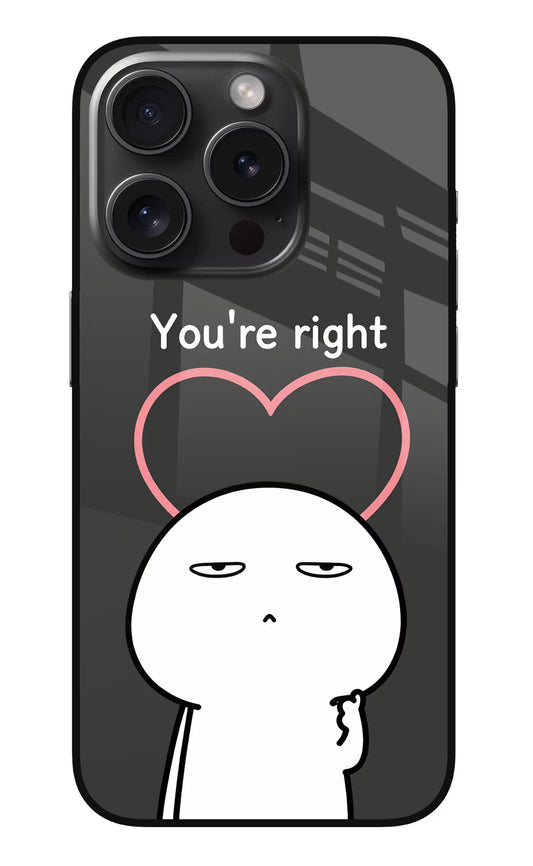 You're Right iPhone 15 Pro Max Glass Case
