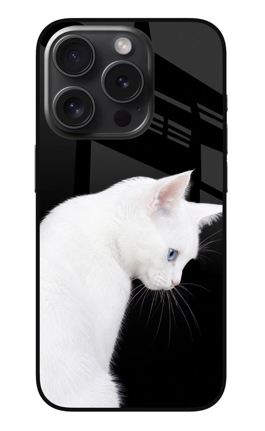 Snow Gaze iPhone 15 Pro Max Glass Case