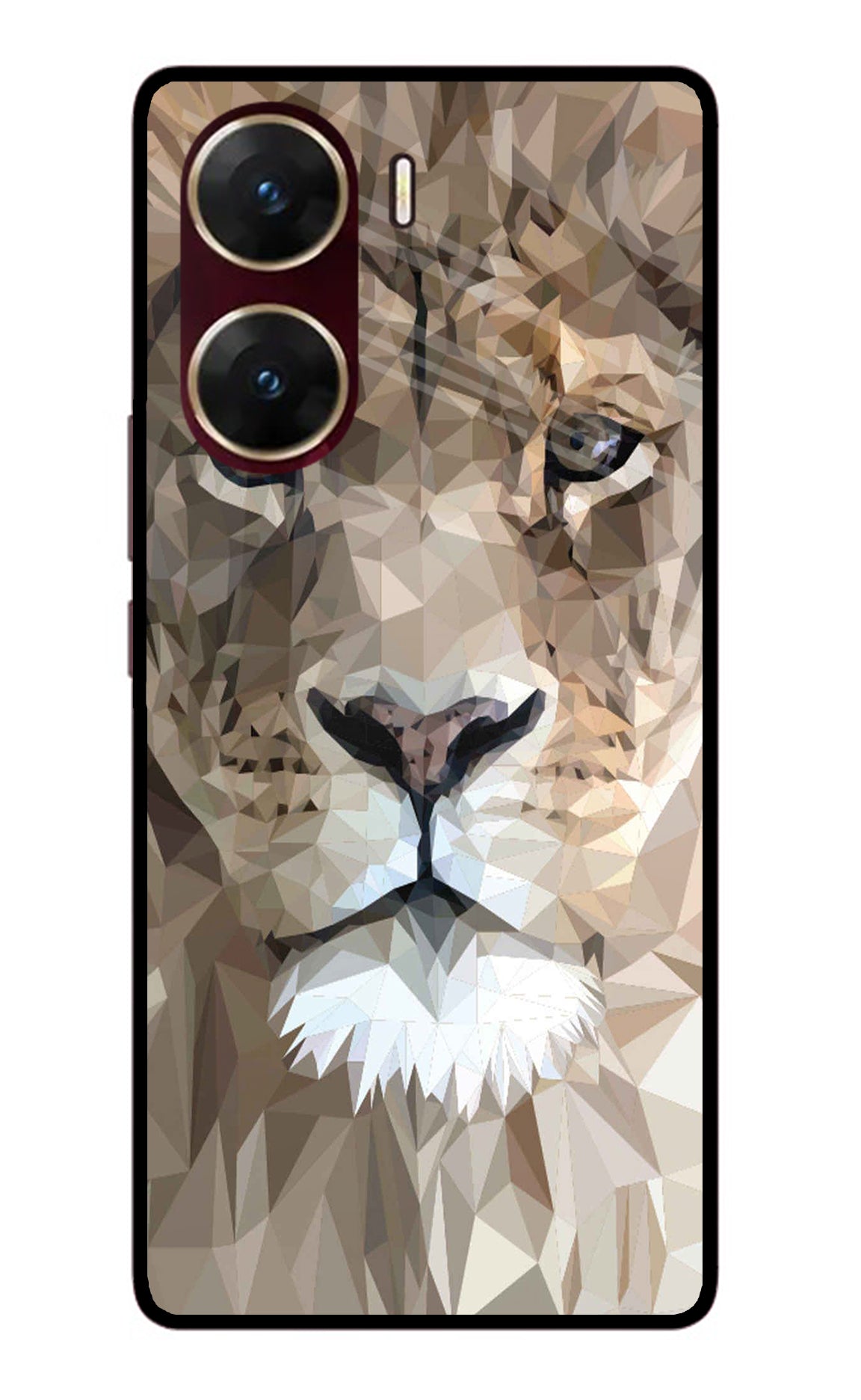 Lion Art Vivo V29E Glass Case