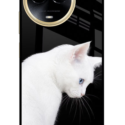 Snow Gaze Realme 11 5G/11X 5G/C67 Glass Case